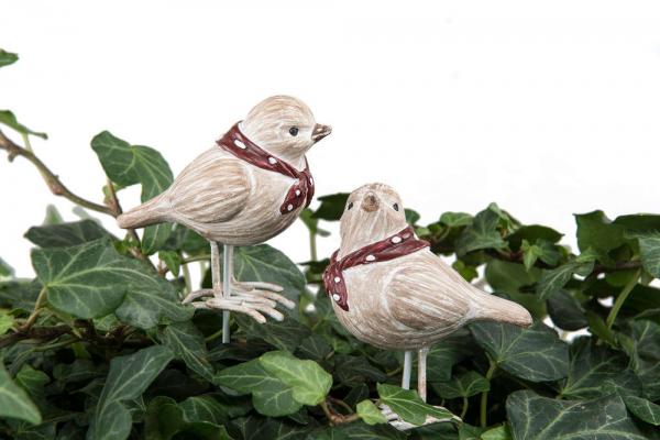 Vogel Poly Blick geradeaus